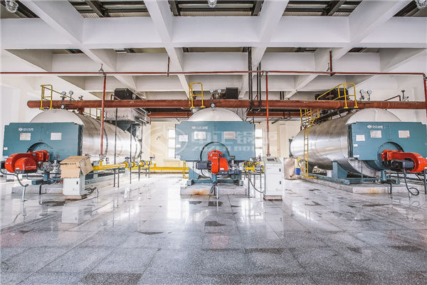 新能源秸稈料鍋爐多少錢