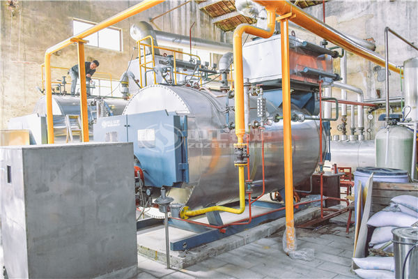 天然氣蒸汽鍋爐廠家