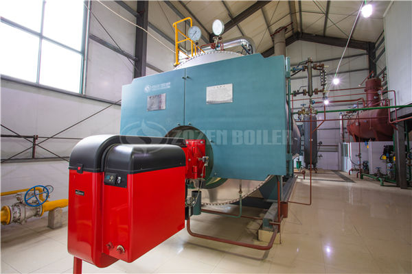 11噸生物質(zhì)鍋爐