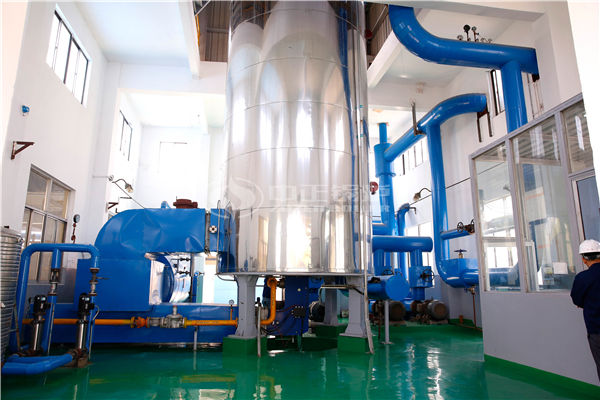 裝機(jī)容量(兆瓦) 鍋爐容量(蒸噸)