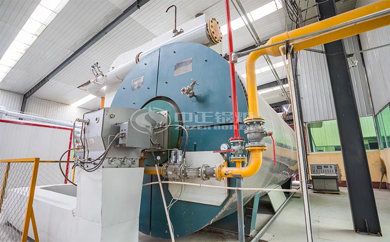 3噸燃?xì)忮仩t客戶案例圖片