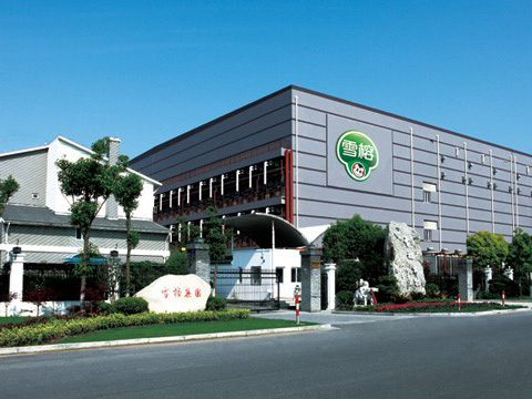 10噸、8噸 DZL 生物質(zhì)鍋爐