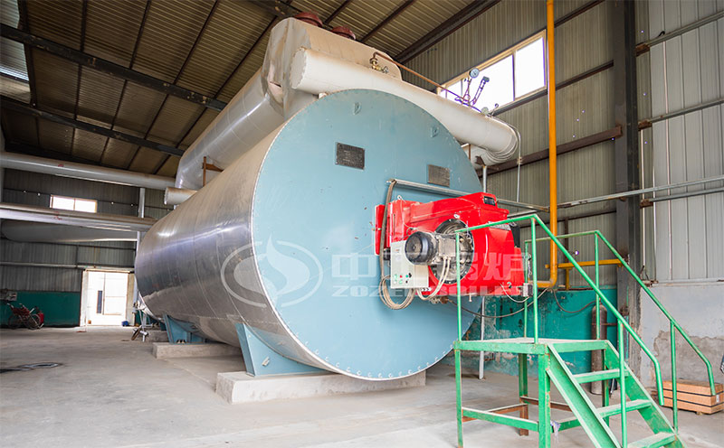 35t鍋爐投資多少錢客戶案例圖片