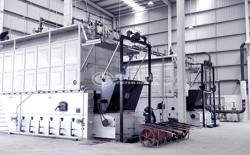 2噸的柴油燃?xì)忮仩t要多少客戶案例圖片