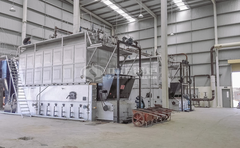 35t鍋爐投資多少錢客戶案例圖片