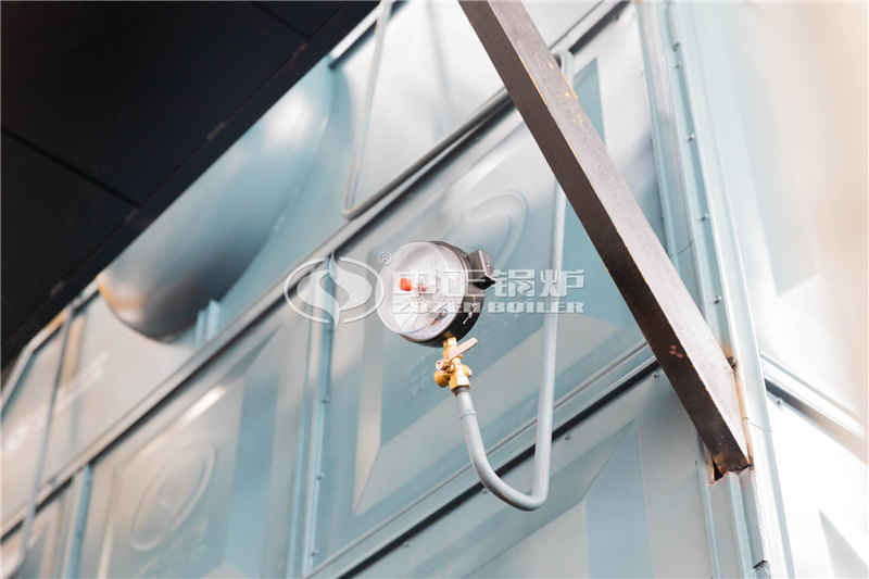 兩噸燃?xì)庹羝仩t供應(yīng)