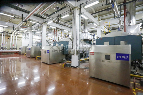 一臺(tái)二十噸燃?xì)庹羝仩t低多少錢(qián)